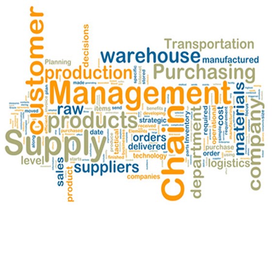 SaaS Transportation, Inc.: Portfolio